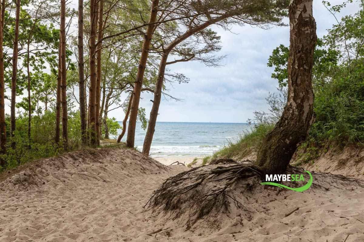 Maybesea Polanki Park Premium كولوبرزيغ المظهر الخارجي الصورة